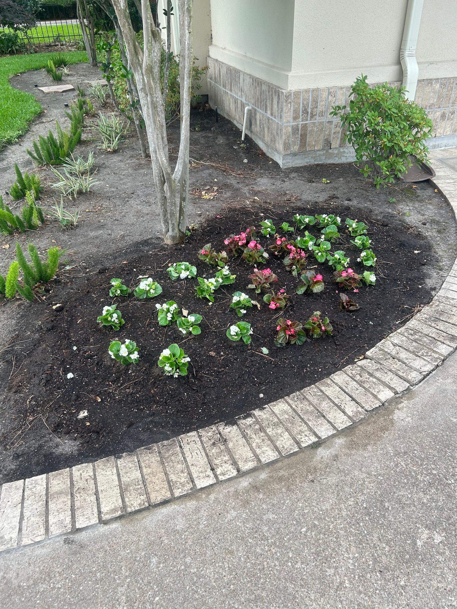 Flowerbed with green and red flowers, bordered by bricks, next to a building and sidewalk.