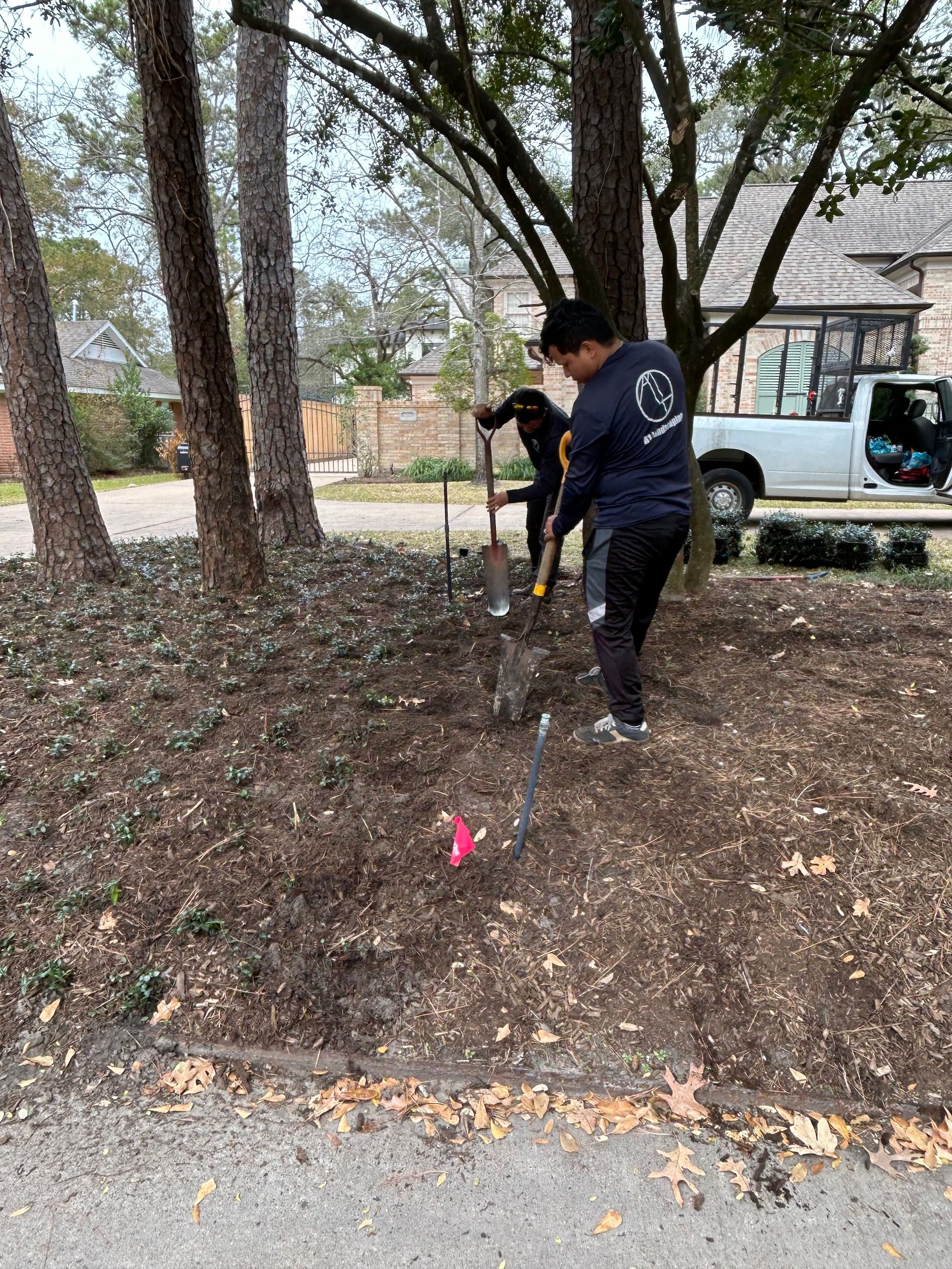 Two people digging in dirt near trees; one wearing a dark shirt.