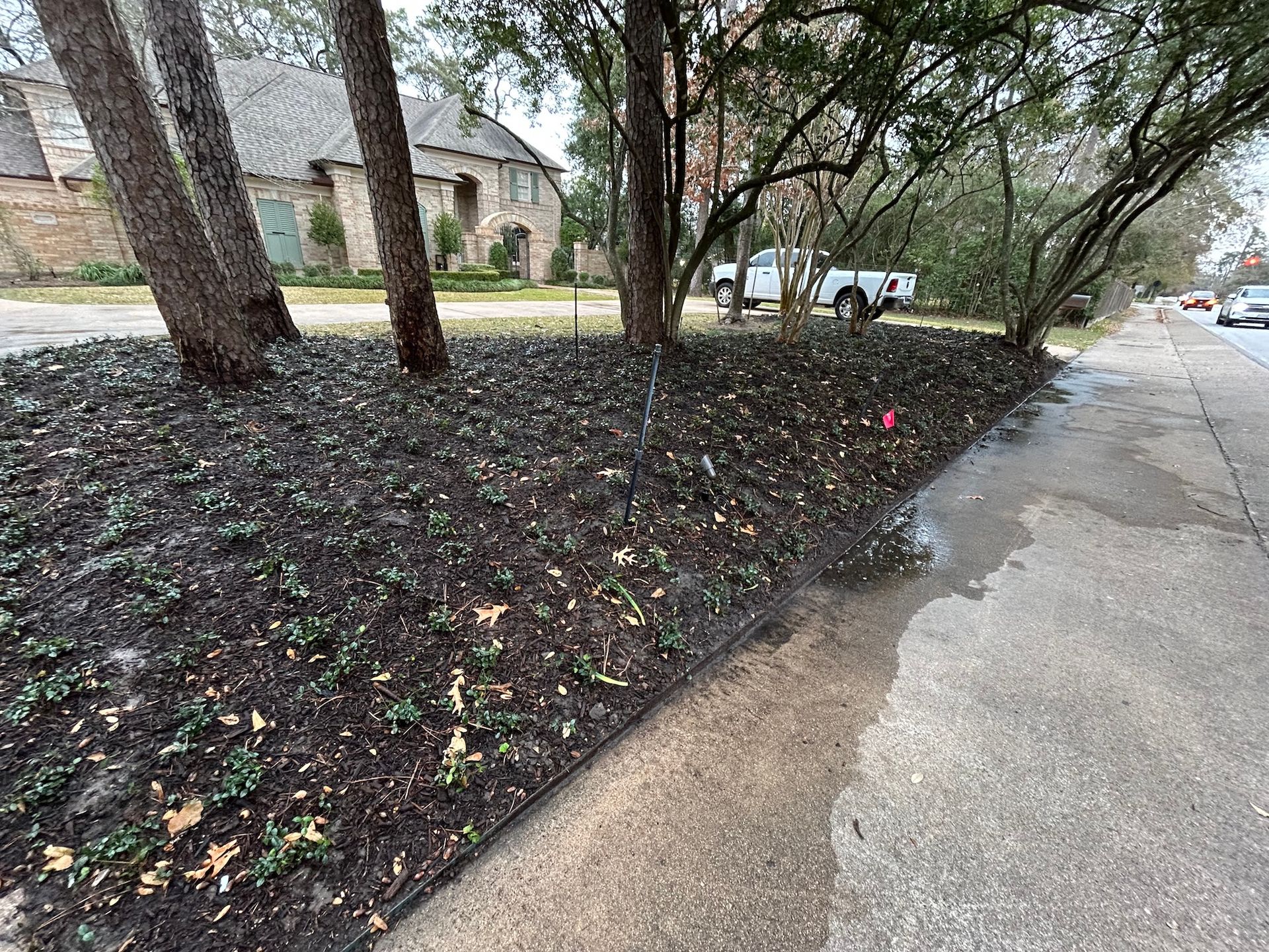 Flower bed with dark mulch, small plants, and trees next to a sidewalk and street.