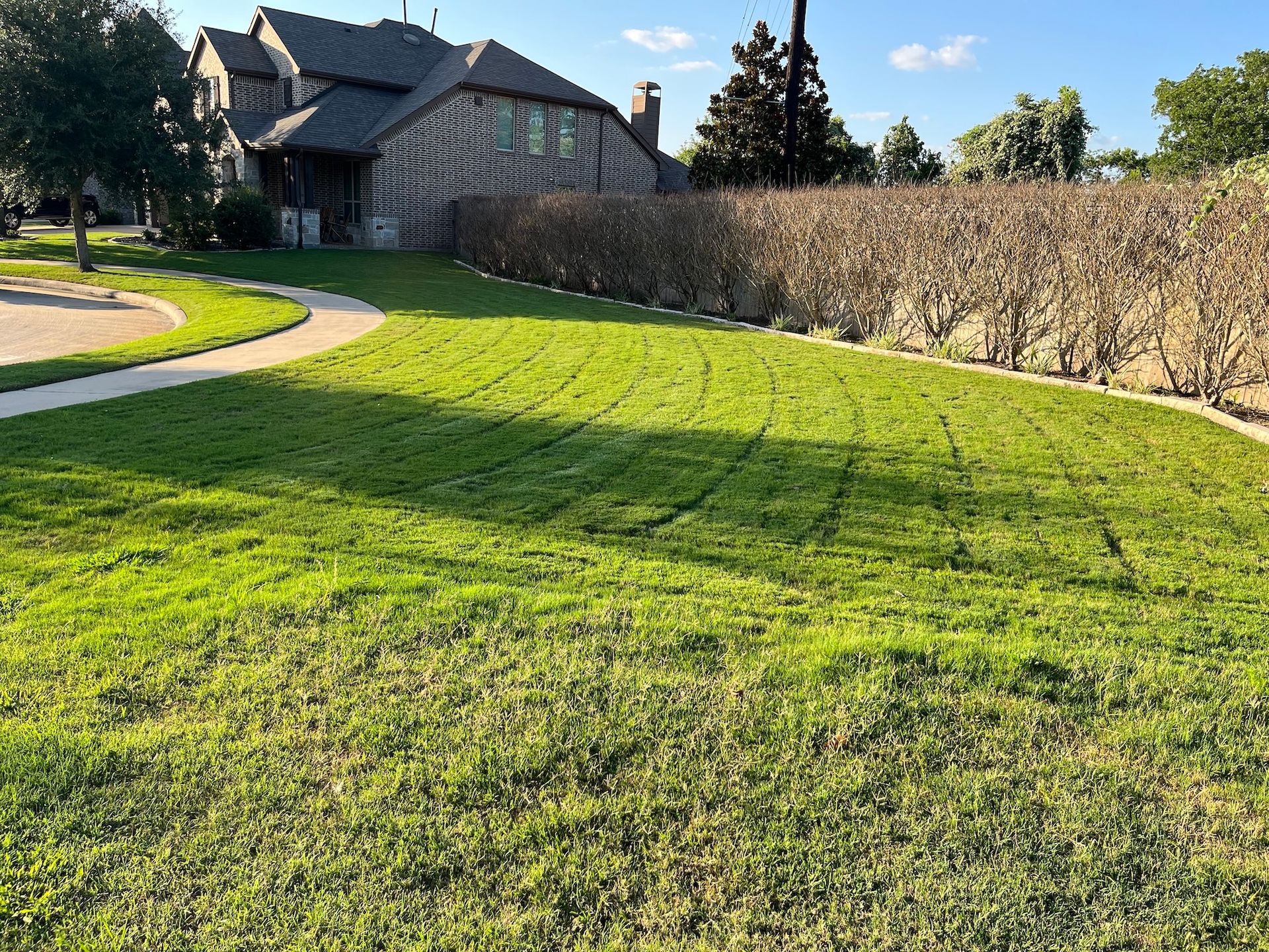 Lush green lawn with a curved sidewalk leading to a two-story brick house, hedge in the background.