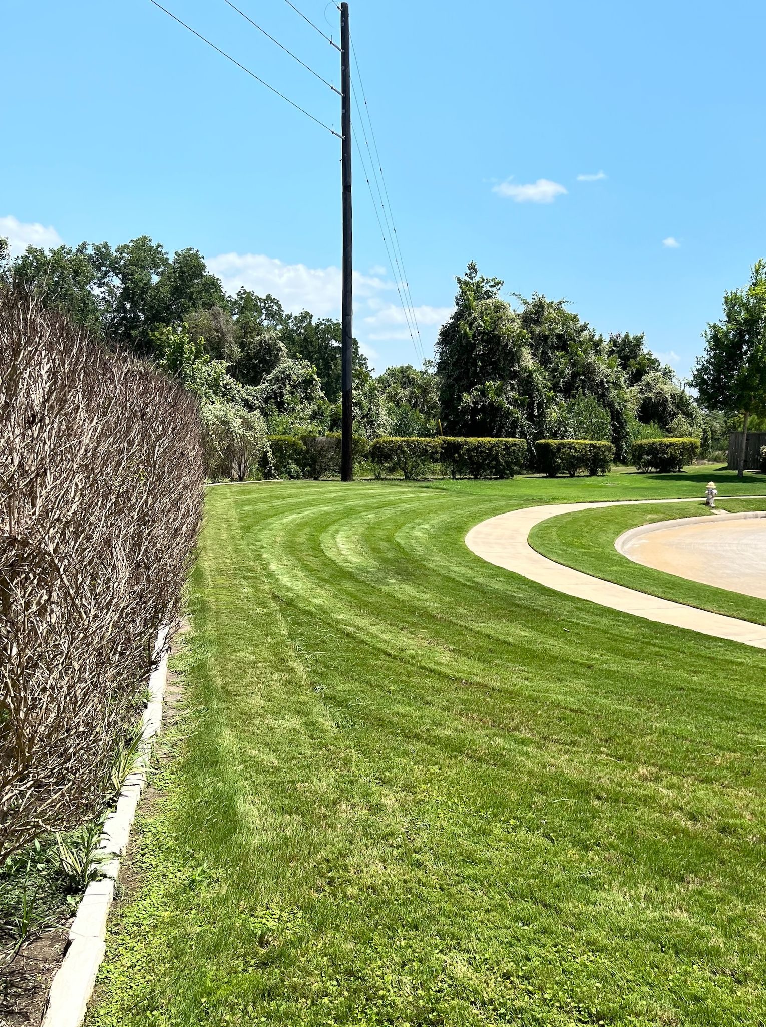 Green lawn with curved mowing lines, next to a tall hedge and pathway, under a blue sky.