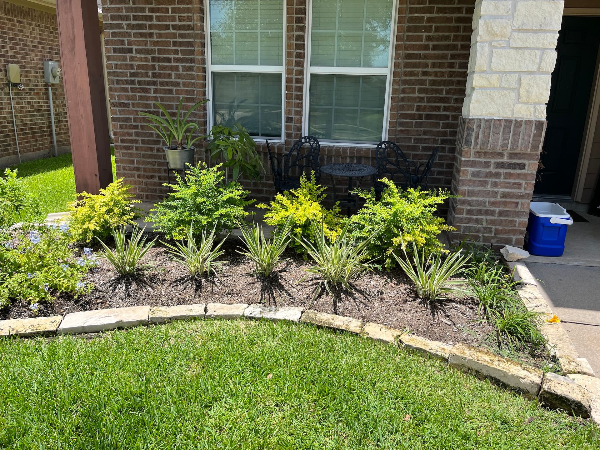 Landscaped garden bed with various green and yellow plants, edged by stone and bordered by grass.