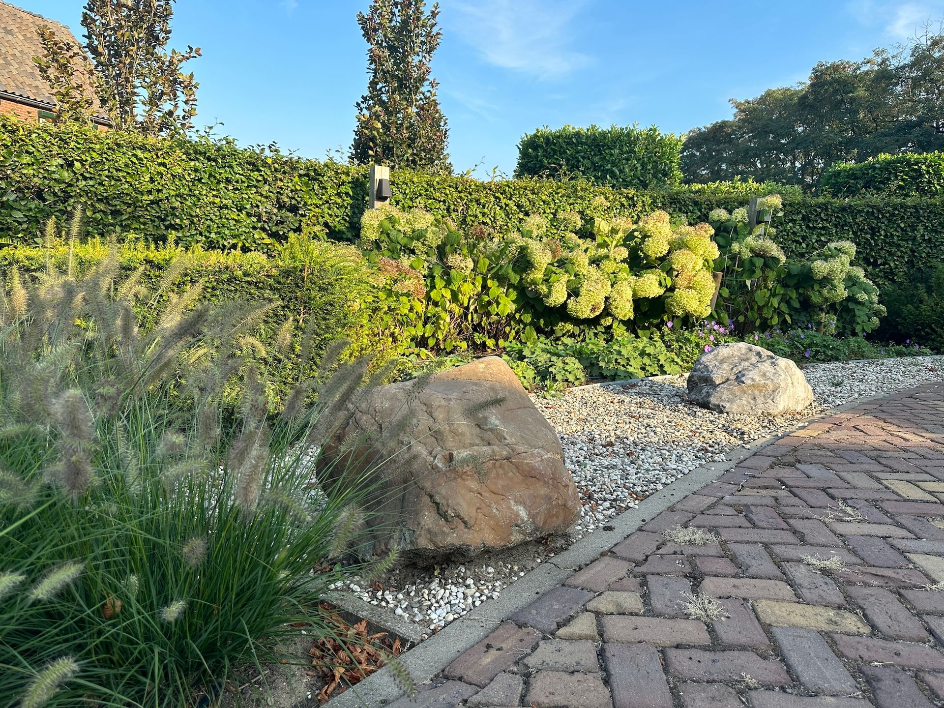 A garden path lined with bricks next to large decorative rocks, ornamental grasses, and blooming hydrangea bushes.