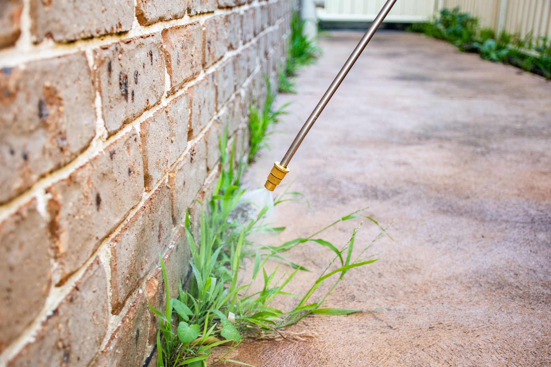 A person is spraying weeds with a nozzle next to a brick wall and concrete path.
