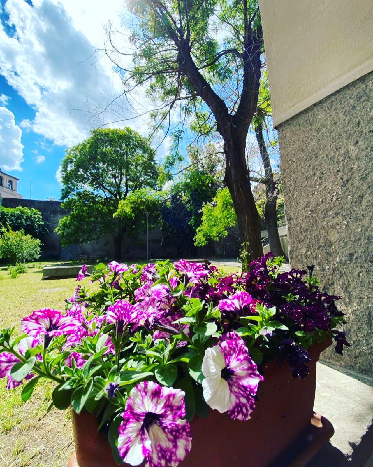 Vista del giardino