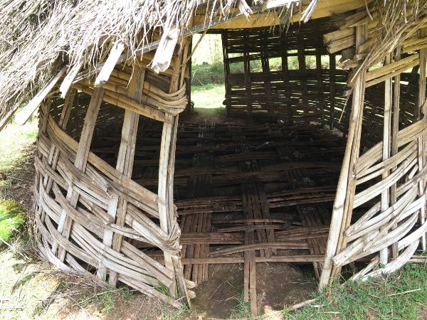 Unsanitary school latrines lacking privacy