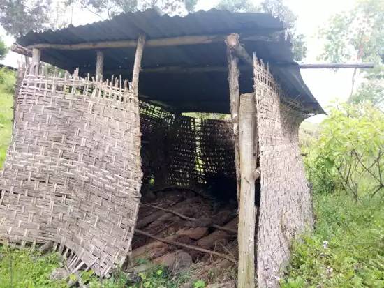 The current Kale Malo Primary School Latrine