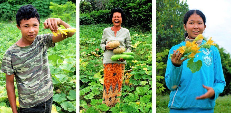 Cambodian Water Projects