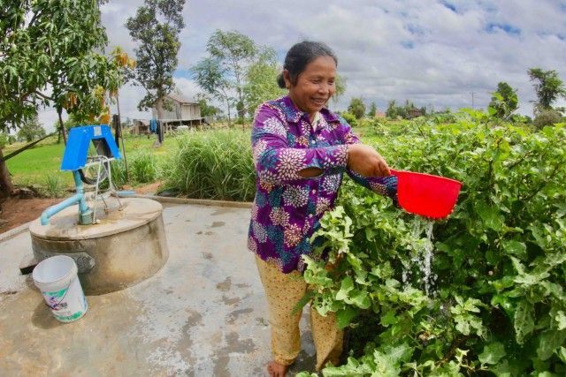 Woman watering leafy crops with a red bucket beside a hand pump in a rural field