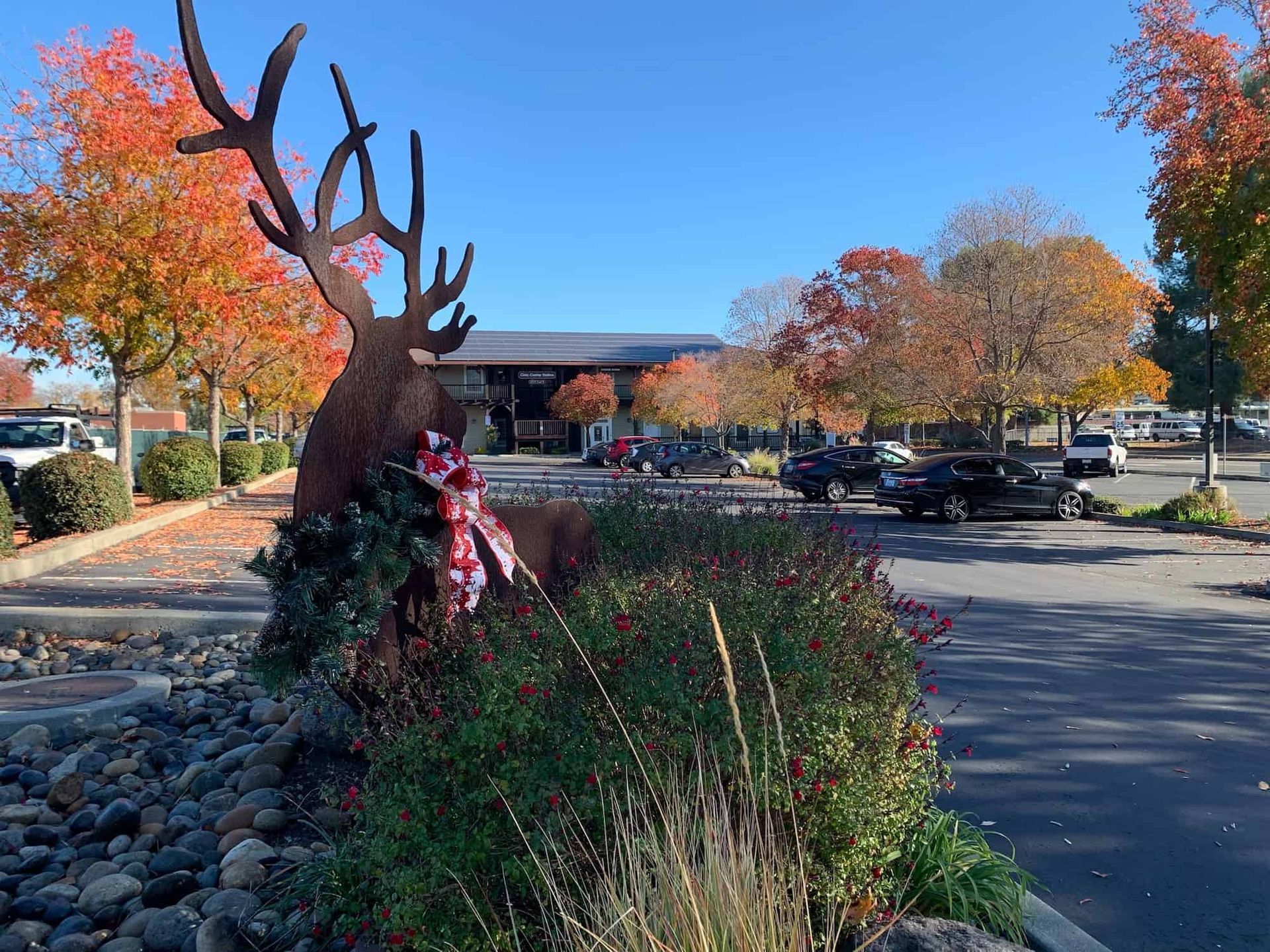 A large metal sculpture of a deer wearing a wreath and ribbon stands near a rocky garden in a parking lot during autumn.