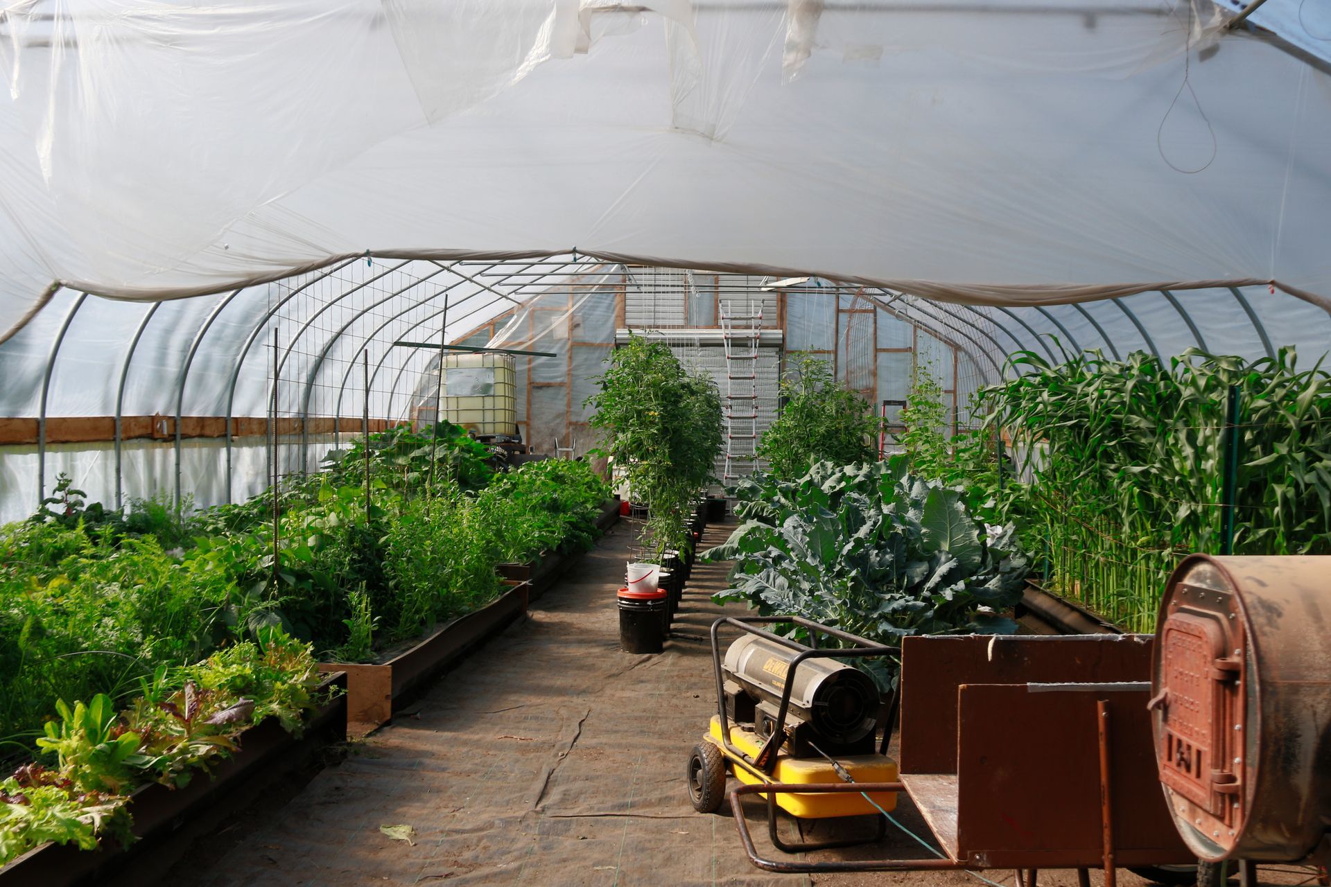 Greenhouse