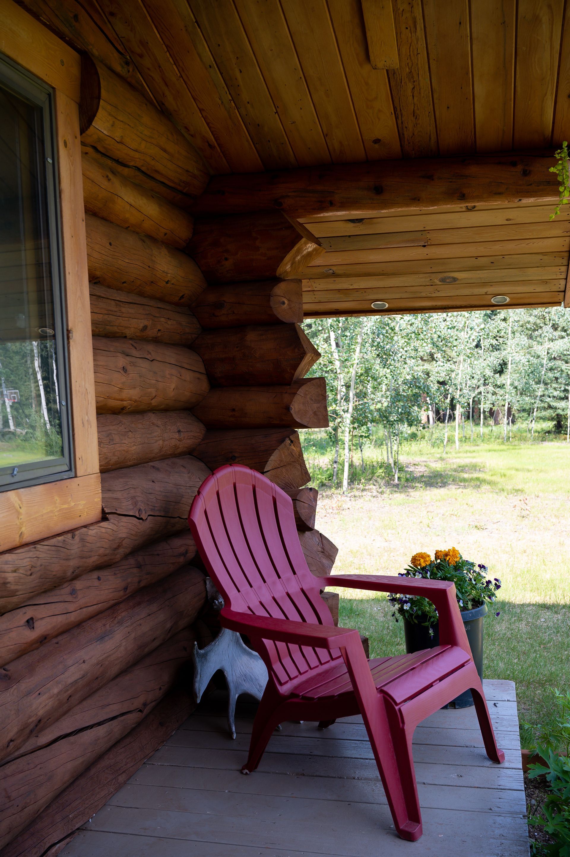 Cloudberry Cabin