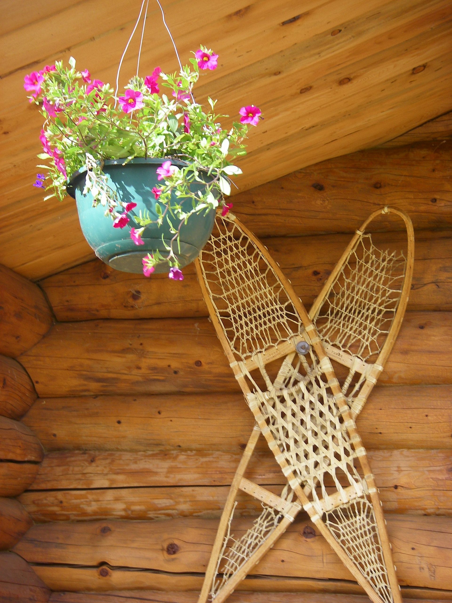 Cloudberry Cabin in Tok, Alaska