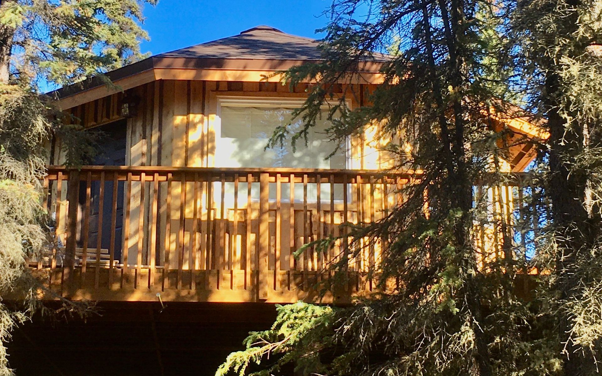 The Grub Steak cabin