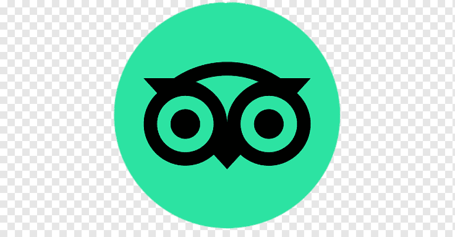 TripAdvisor logo: Owl icon inside a teal circle.