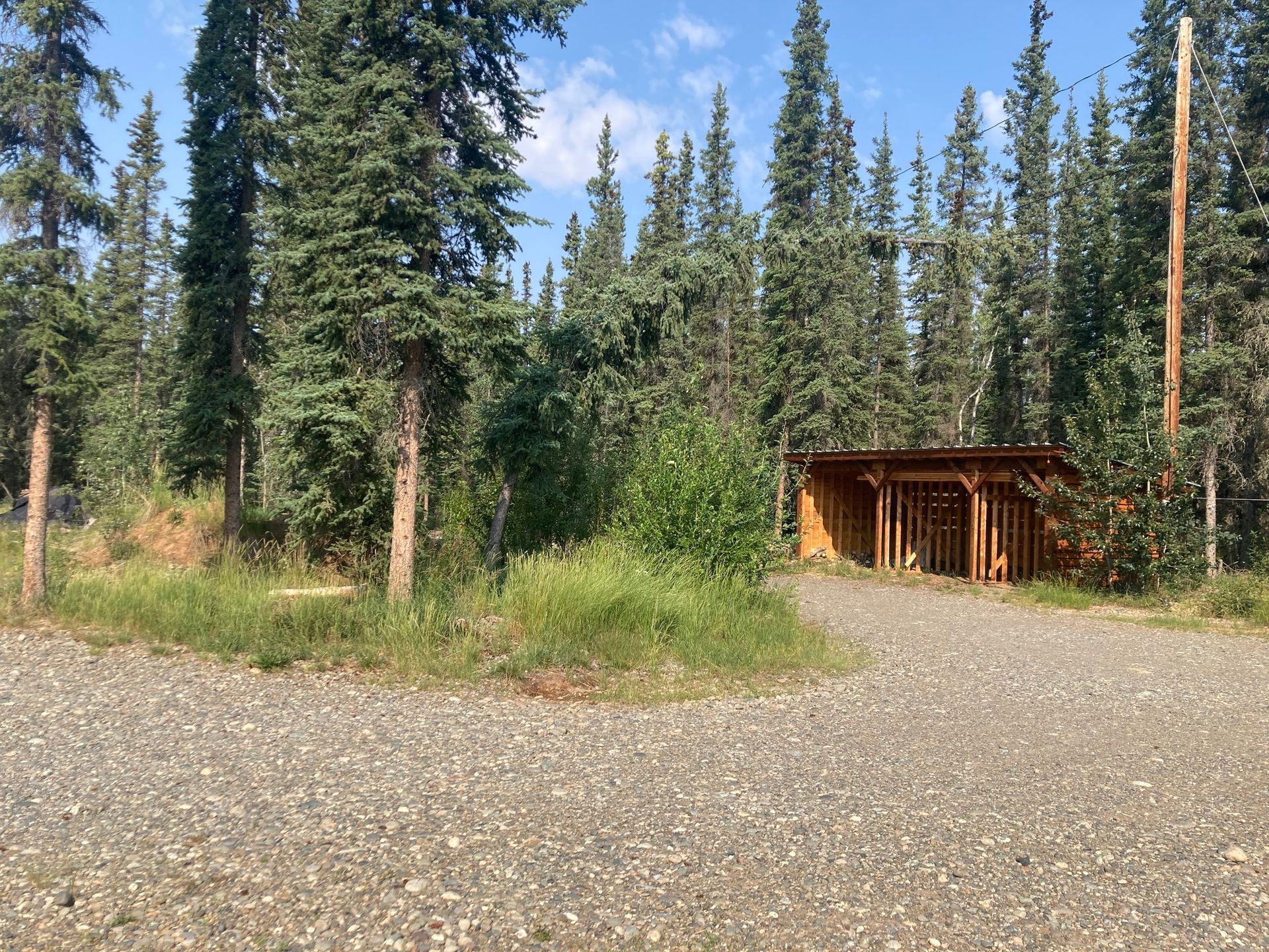 Gravel driveway leading to a wooden storage shelter in a forest clearing surrounded by tall evergreen trees.