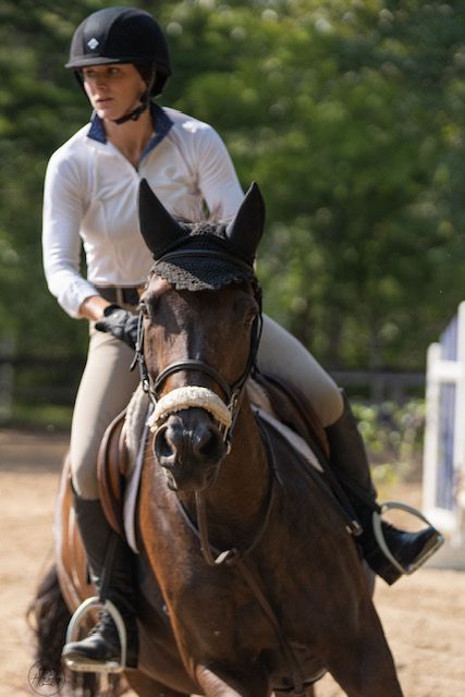 Louisiana Horse Group