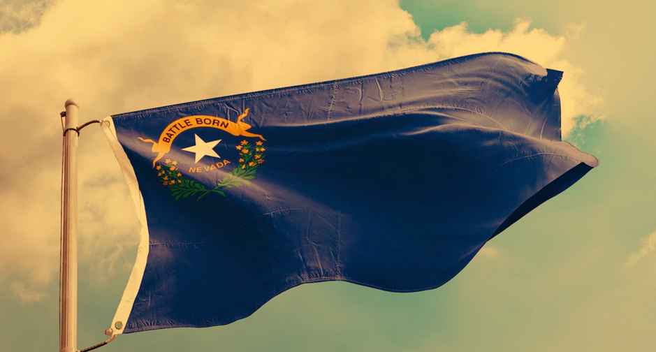 Nevada state flag waving in a cloudy sky; blue field, gold star, and green wreath.