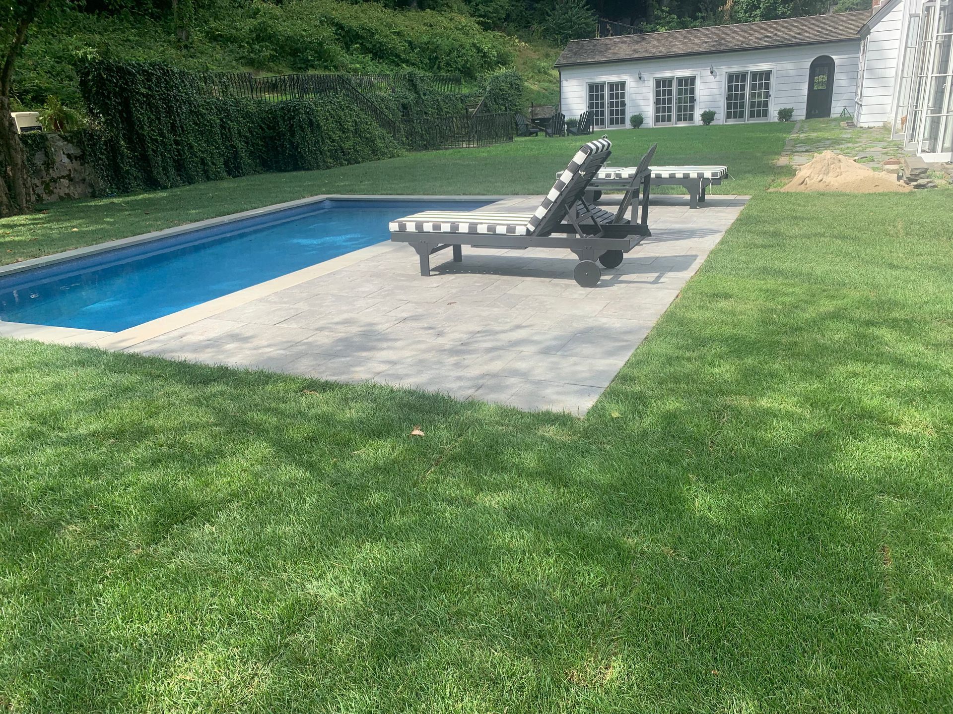 Backyard pool with two black lounge chairs on a concrete deck beside a green lawn and hedge