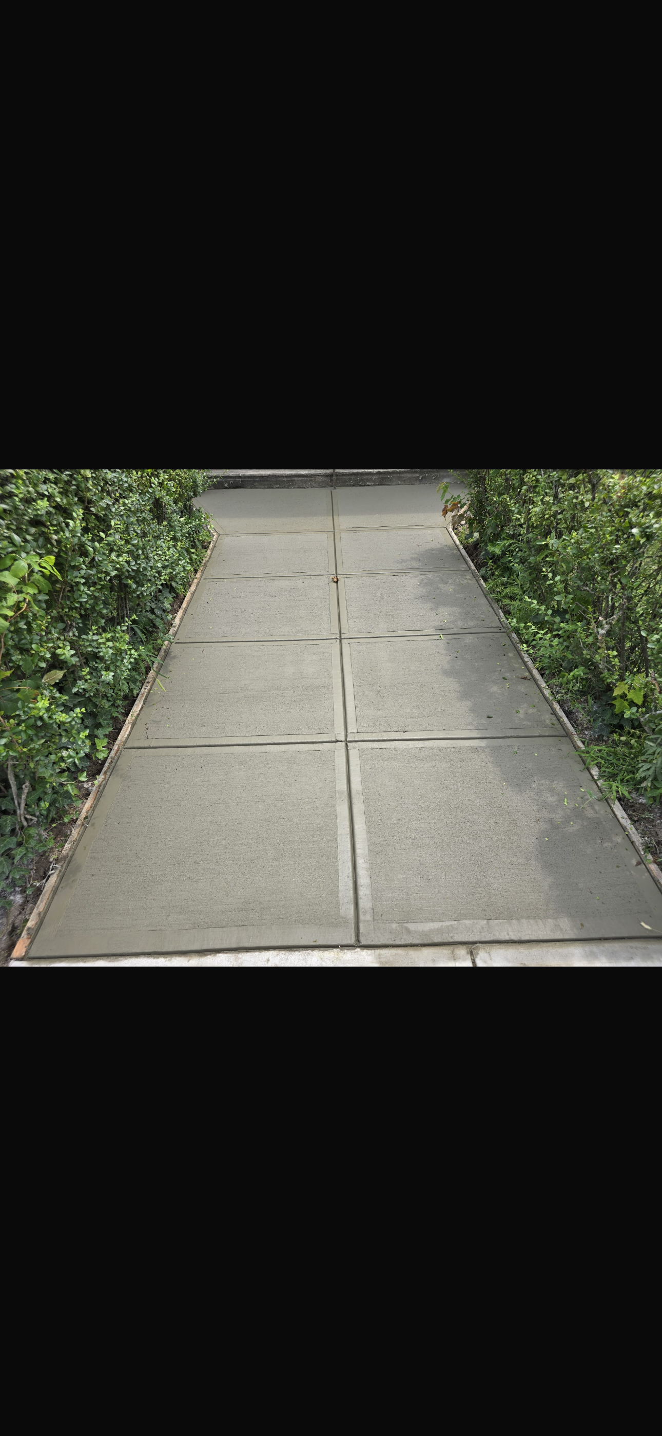 Concrete sidewalk path bordered by green hedges on both sides