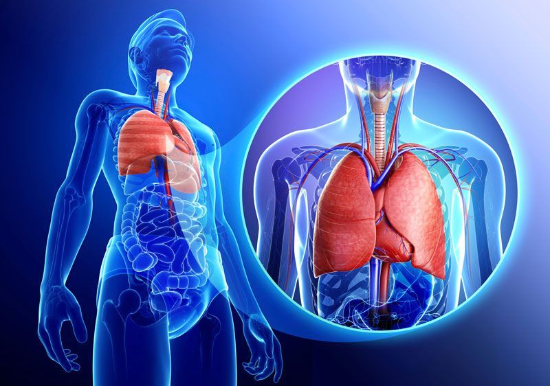 Enfermedades pulmonares  