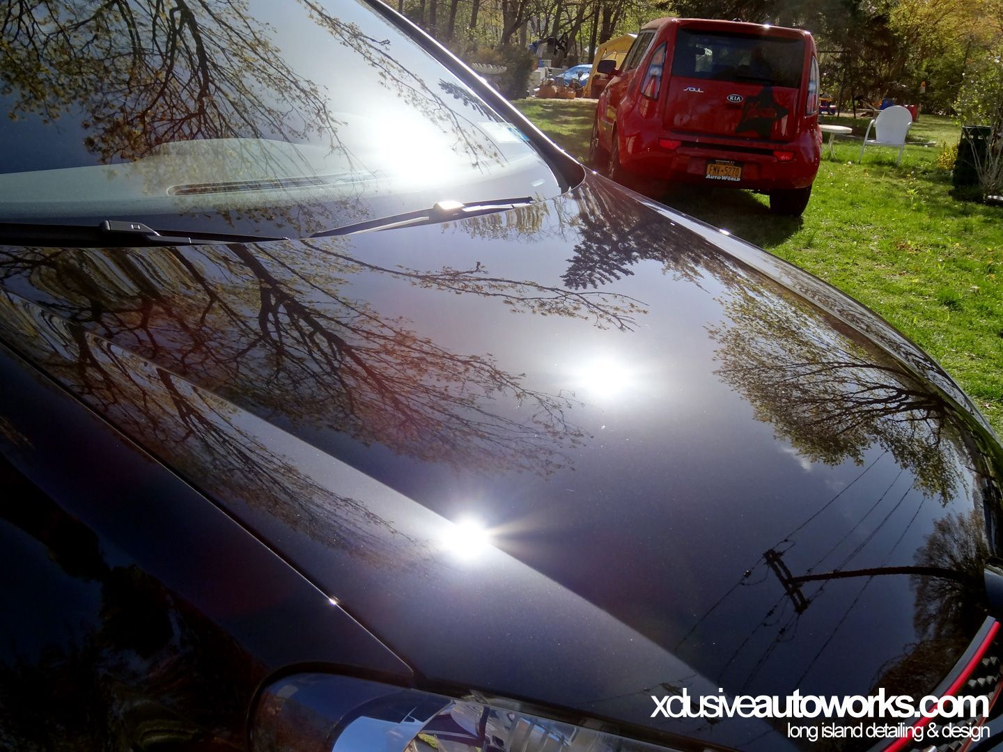 A black car is parked in a grassy area with xdusveautoworks.com written on the hood