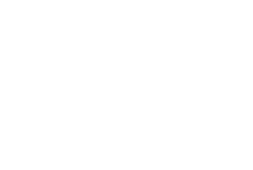 Deluxe boat logo
