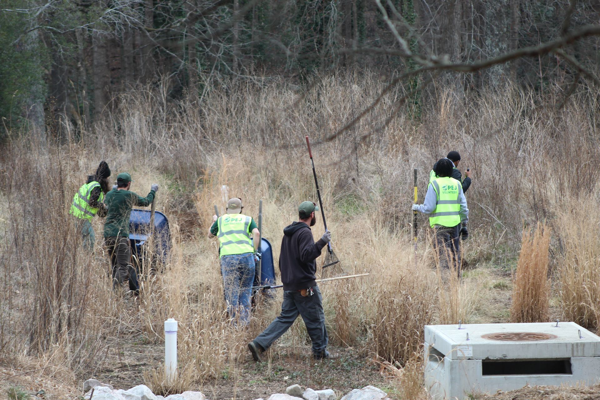 People in reflective vests search through tall grass in a wooded area