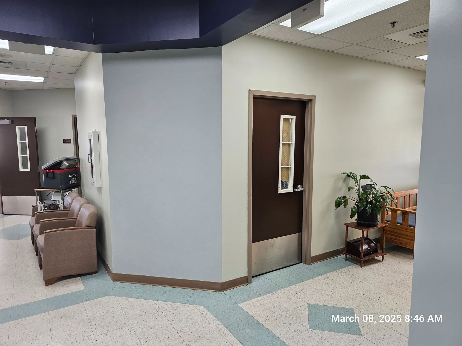 Quiet hallway with gray walls, a dark door, seating, and a potted plant on a small table.