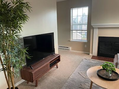 Modern living room with TV, fireplace, large window, and potted plant