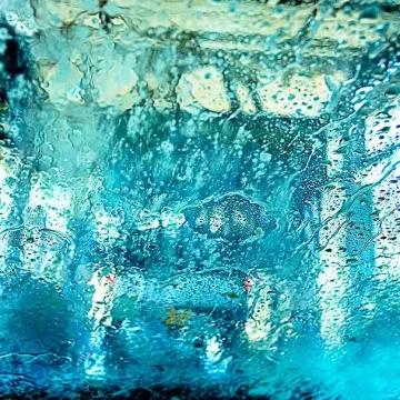 View through a car windshield covered in soapy water and splashing foam inside a drive-through car wash.