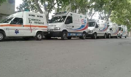 Una hilera de ambulancias blancas estacionadas en una calle bordeada de árboles.