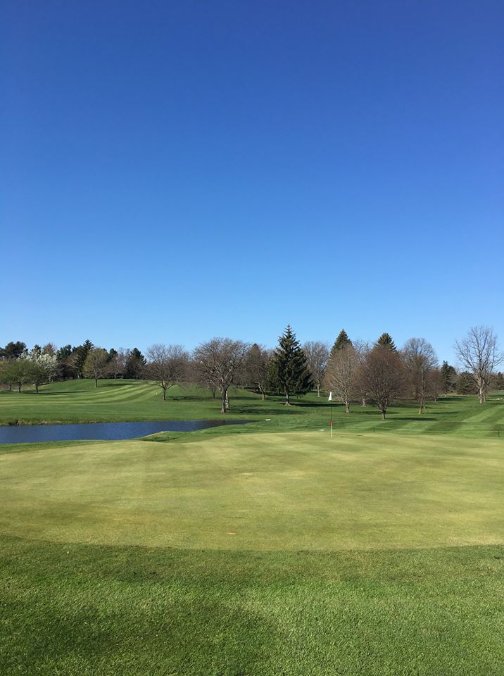 A view of a golf course on a sunny day with trees in the background.
