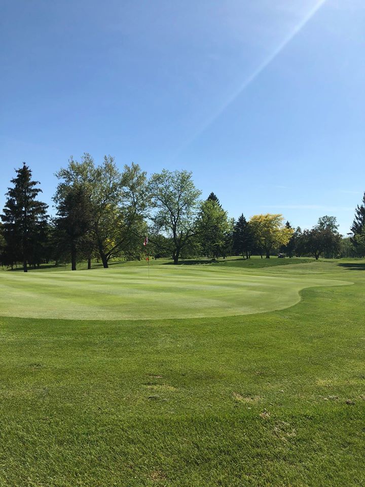 A golf course with a green and trees in the background on a sunny day.