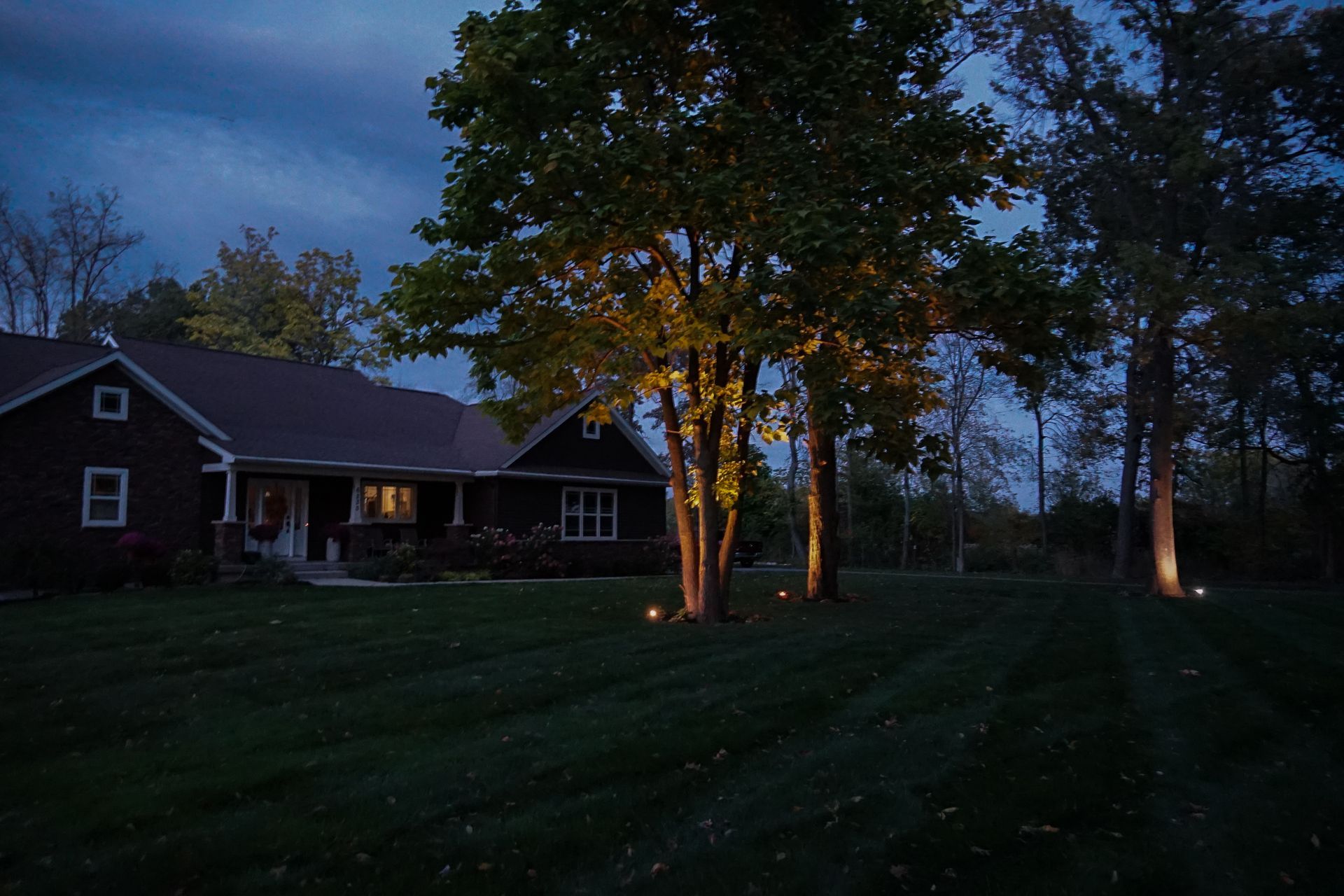 Dusk-lit house with glowing trees and a grassy yard under a dark blue sky