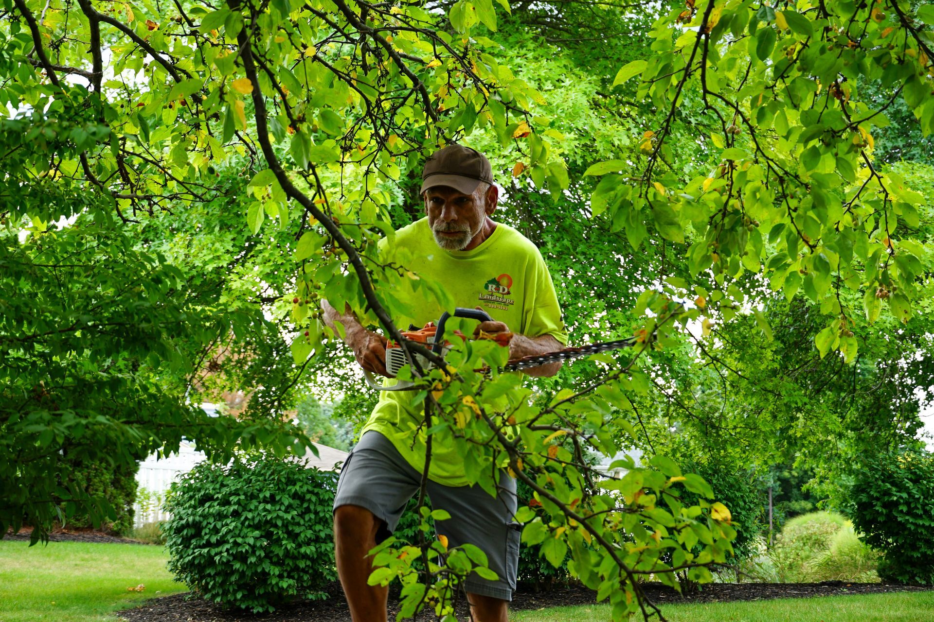 A man is cutting a tree branch with a chainsaw.