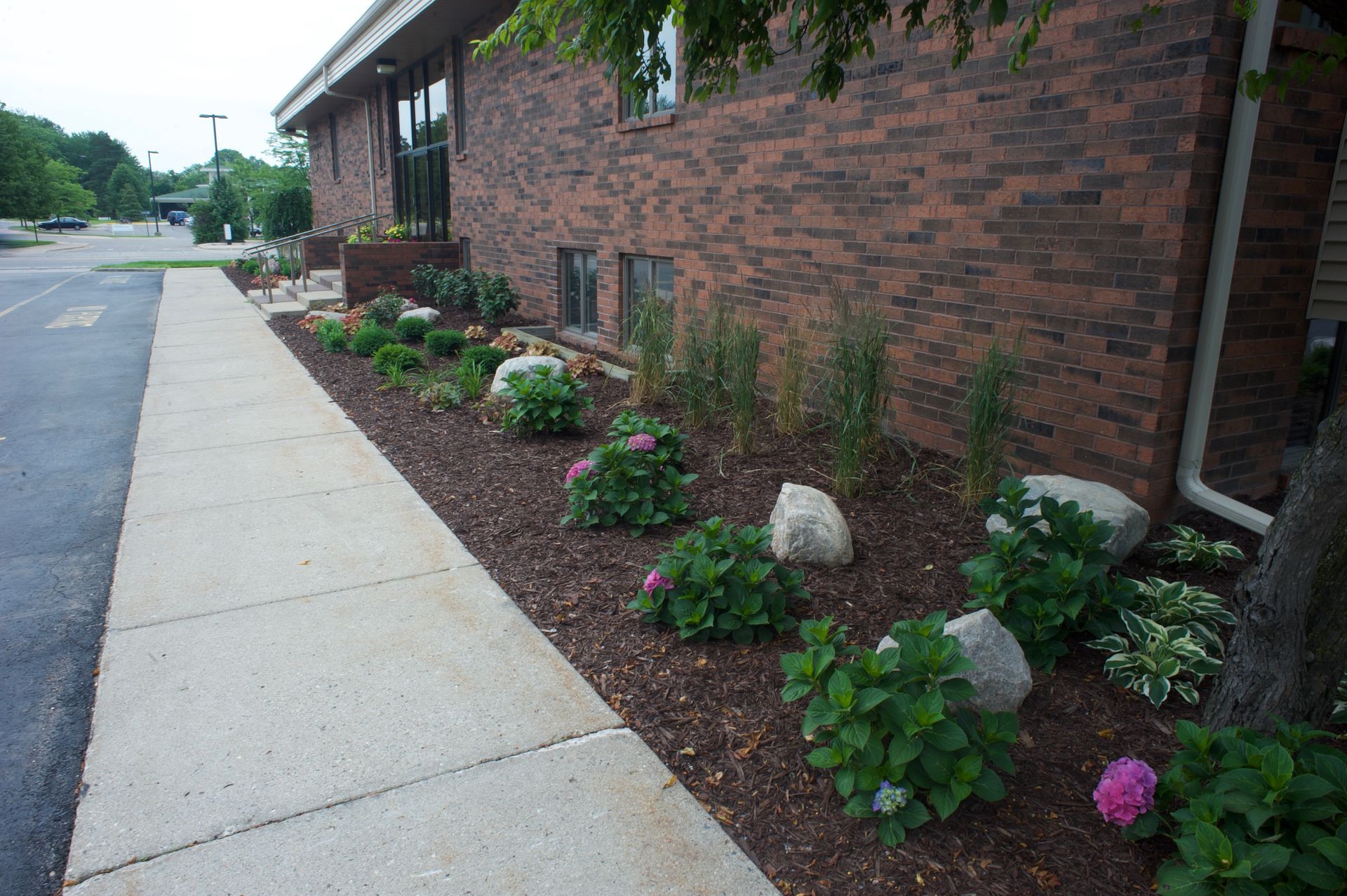 Brick building with a sidewalk and a landscaped flower bed with shrubs and pink blooms