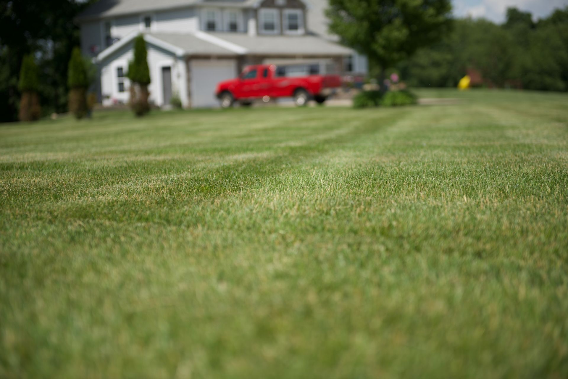 A red truck is parked in the grass in front of a house.