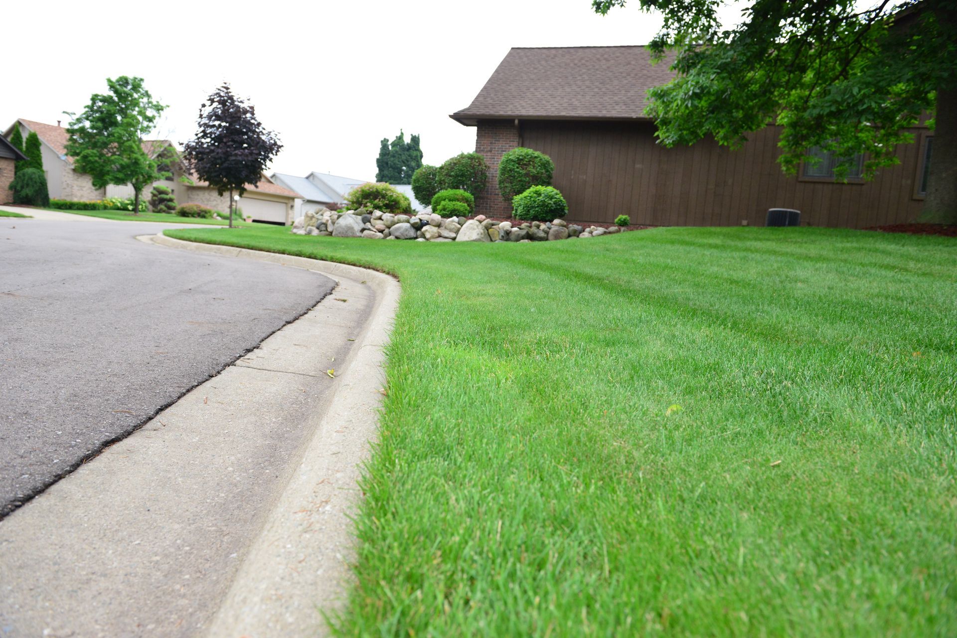 A lush green lawn with a house in the background
