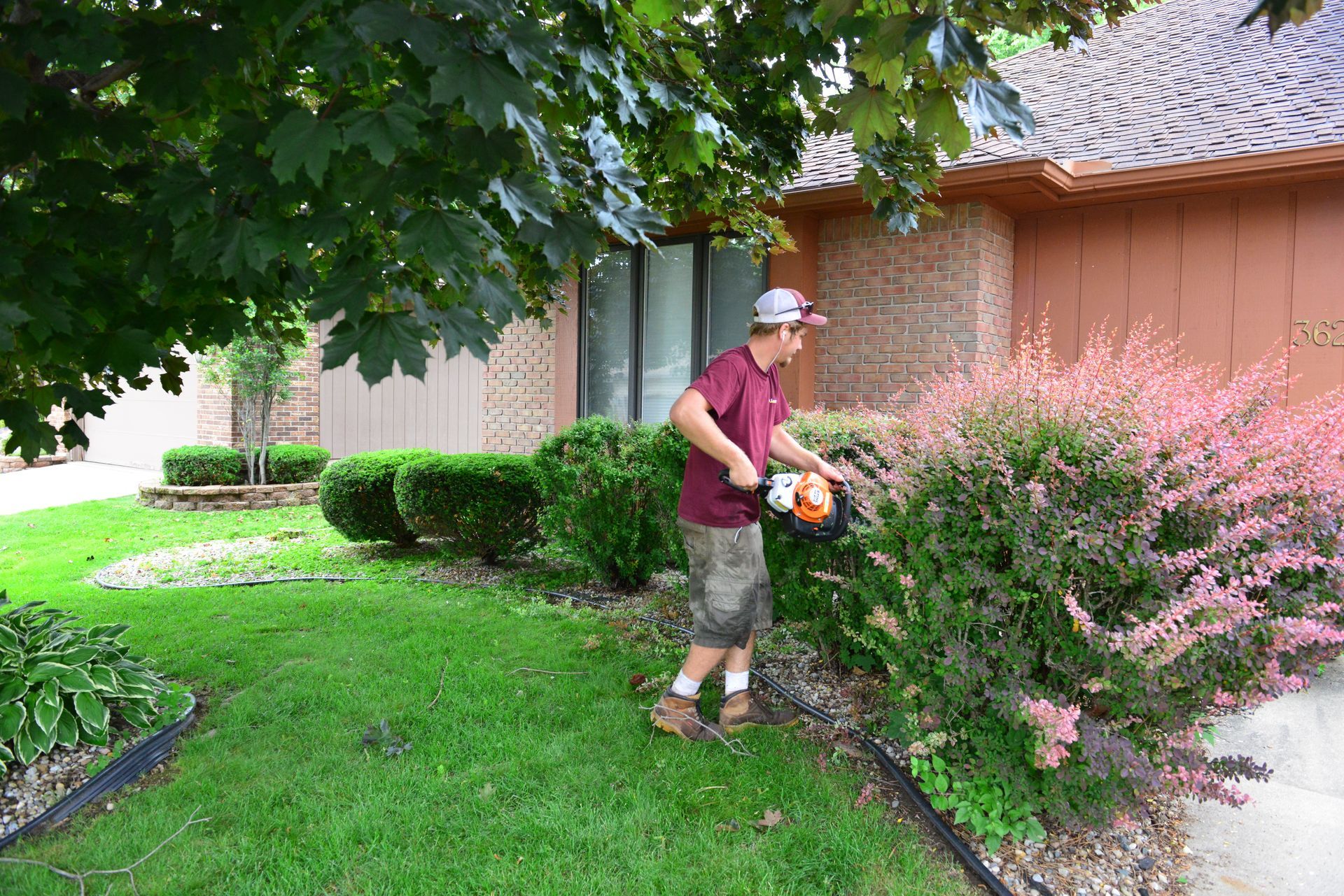 A man is cutting a bush in front of a house.