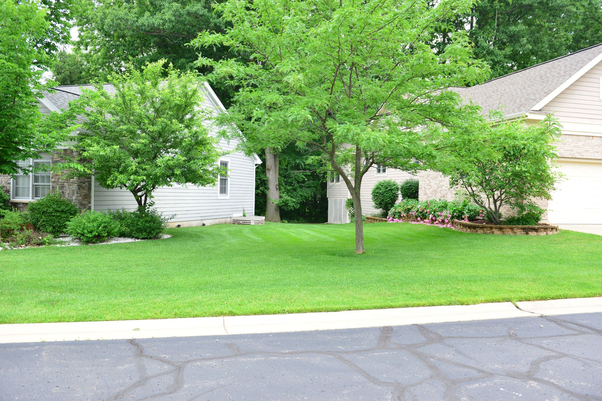 A house with a lush green lawn and trees in front of it