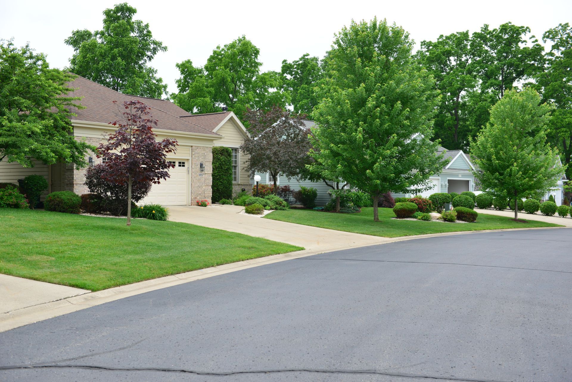 Quiet suburban street with houses, green lawns, and trees on a sunny day