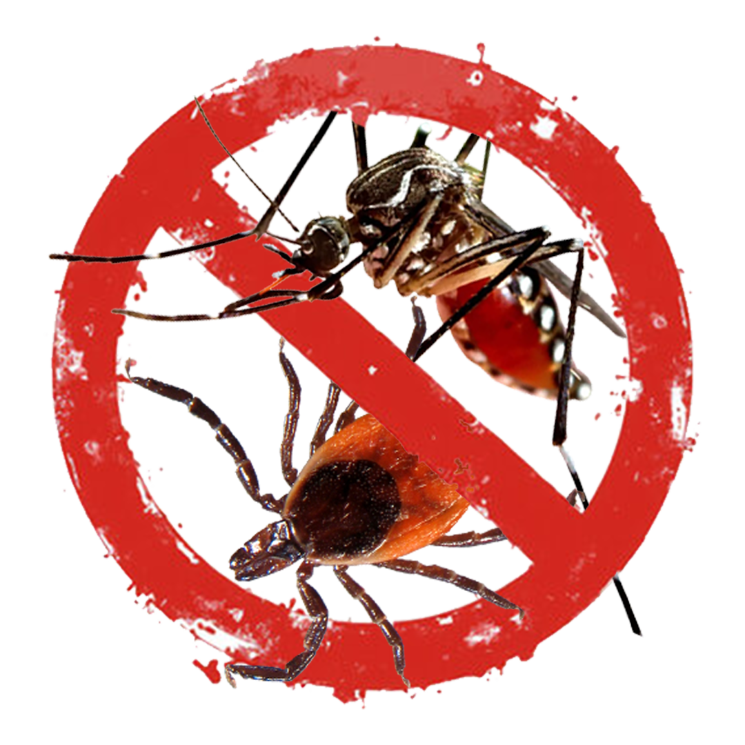 Red prohibition sign over mosquitoes, indicating no mosquitoes or mosquito control.