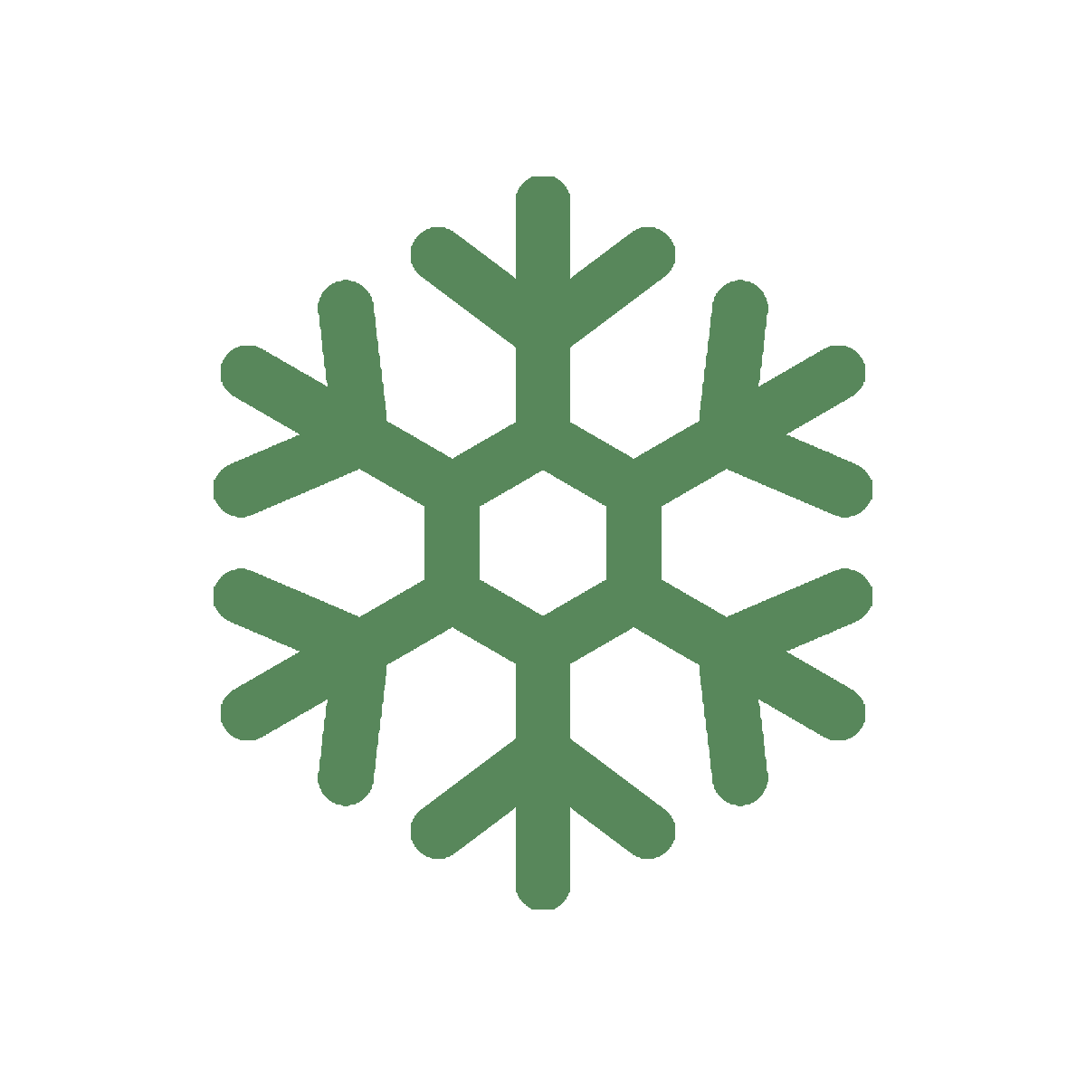 Green snowflake icon on a white background