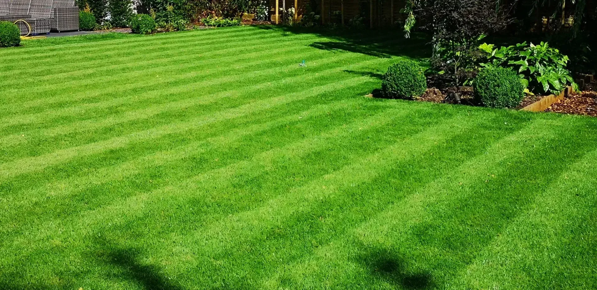 Lush green lawn with striped mowing lines beside garden beds and trees