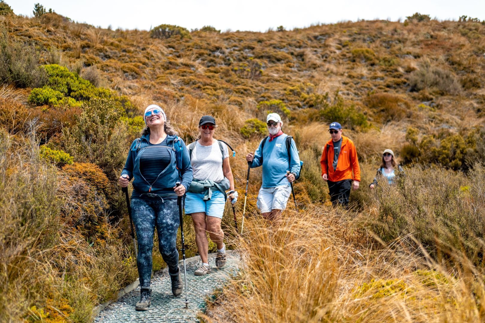 A group hiking with walking poles on the Tongariro Alpine Crossing