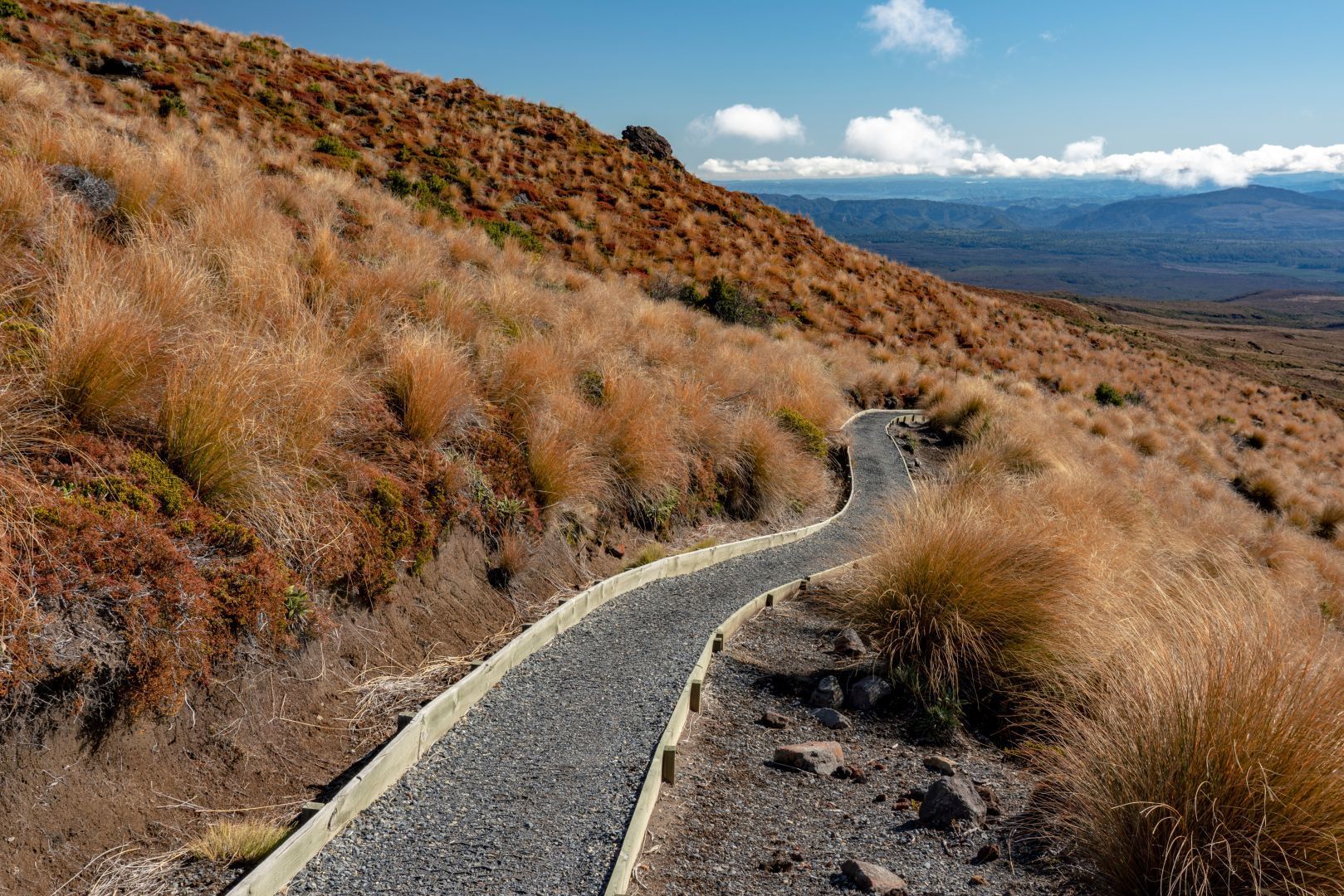 A picture of a track on the Tongariro Alpine Crossing