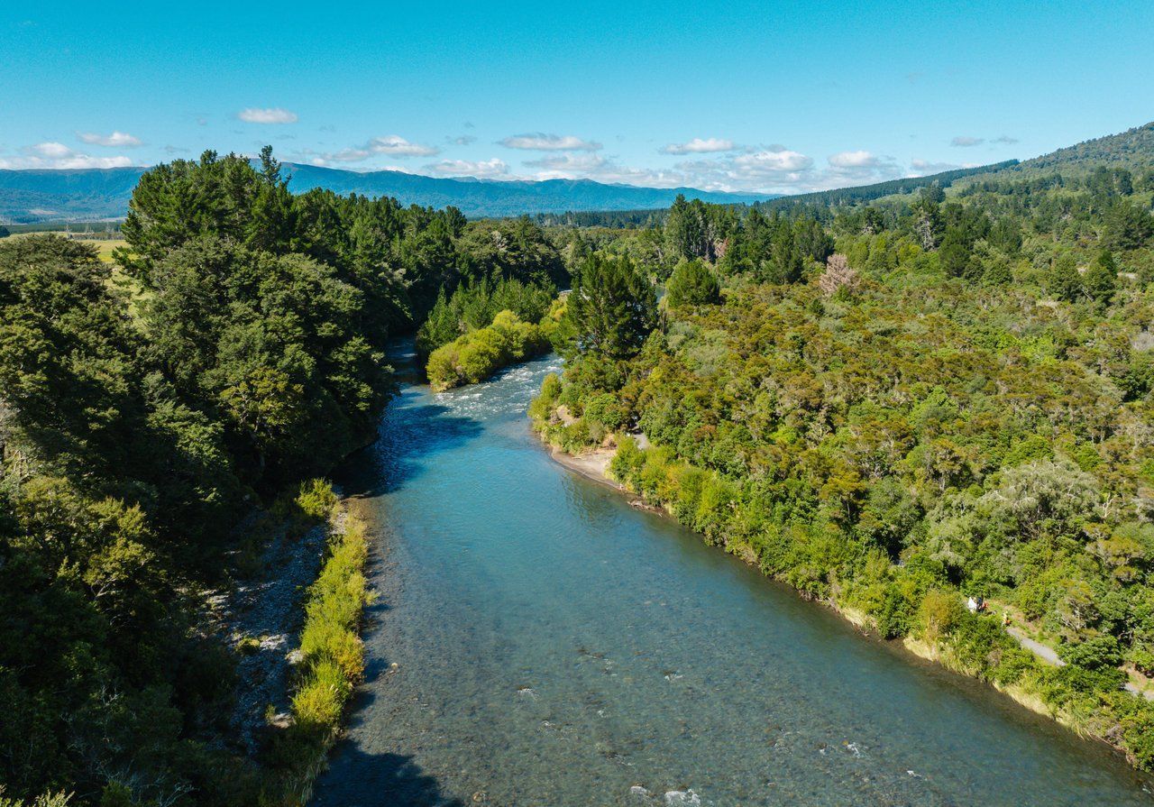 A view of the walking trail next to the Tongariro River