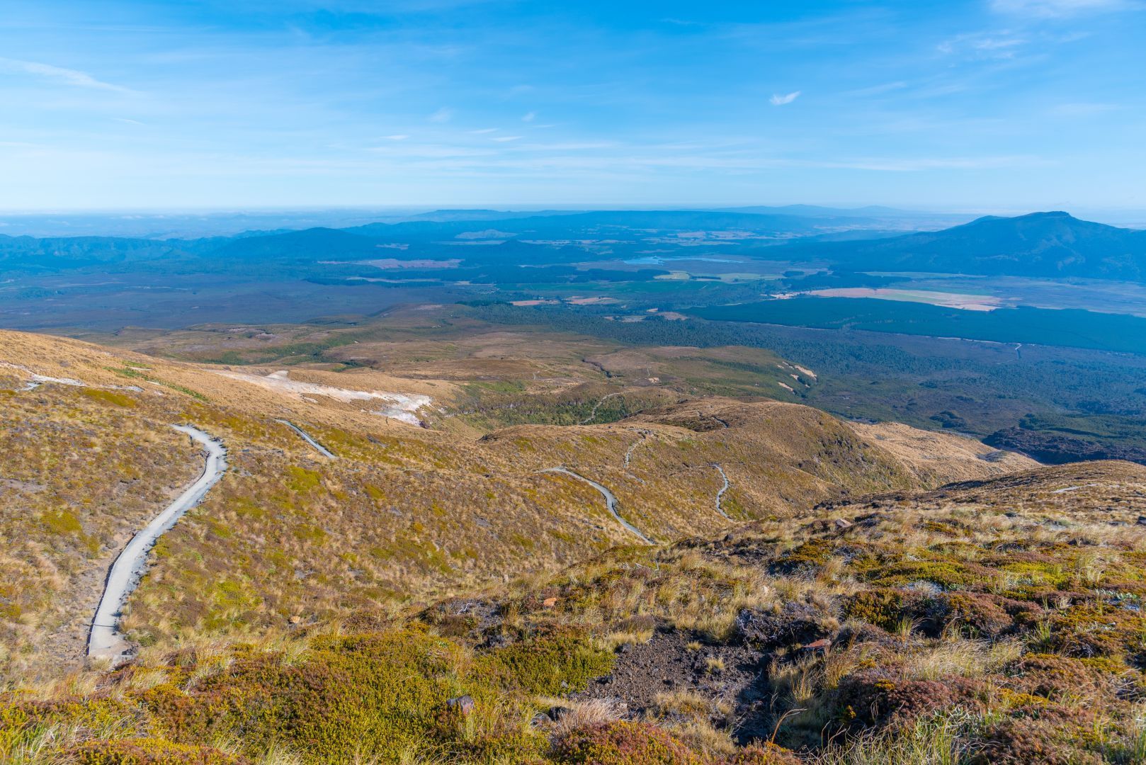 An example of the flora and fauna that is unique to the Tongariro Alpine Crossing