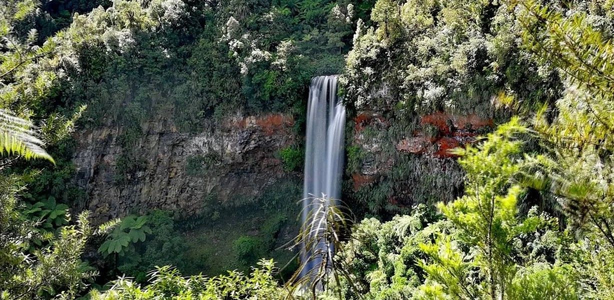 A waterfall that can be seen from the Tupapakukura Falls walking track